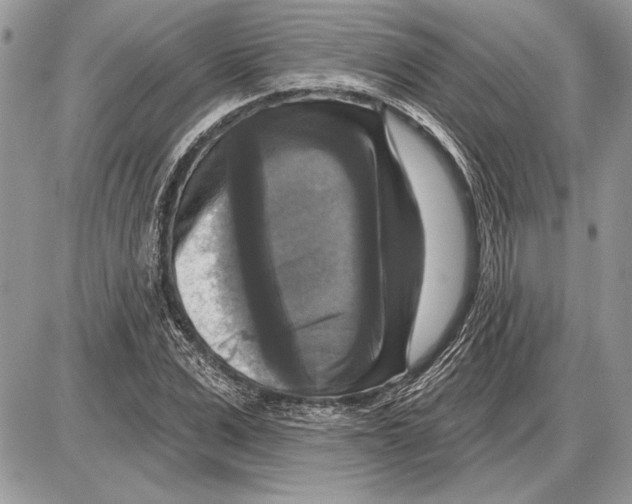 X0000085770975200704131759