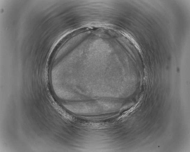 X0000085770976200704131759