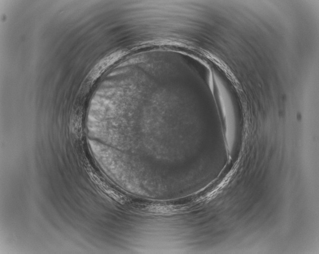 X0000085770977200704131759