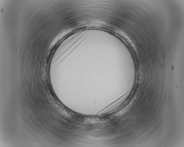 X0000085770978200704131759