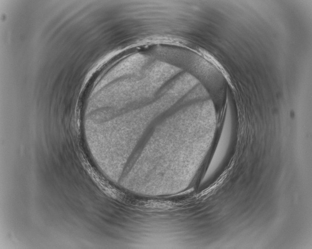 X0000085770981200704131759