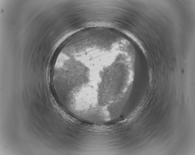 X0000085770983200704131759