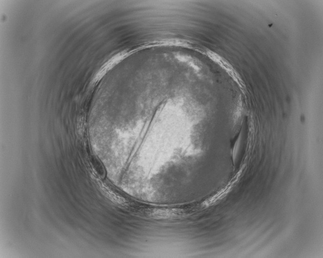 X0000085770985200704131759