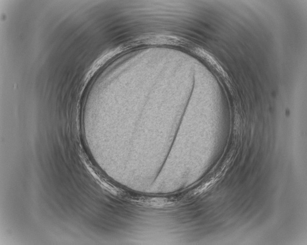 X0000085770986200704131759