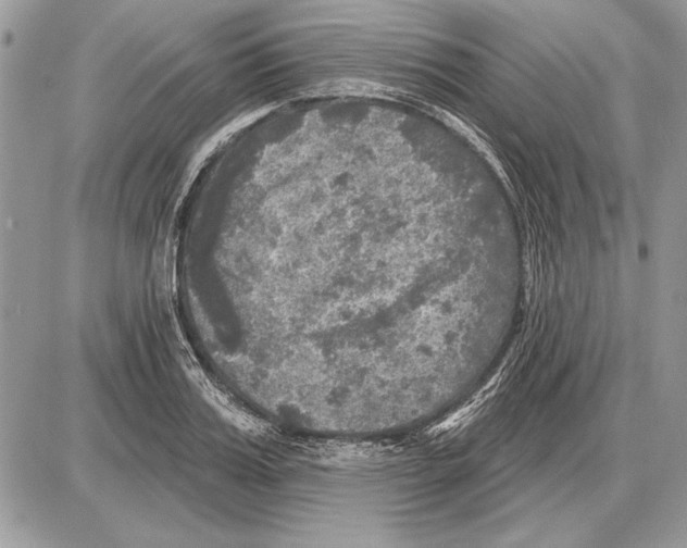 X0000085770987200704131759