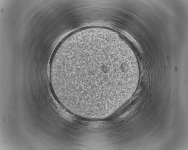 X0000085770988200704131759