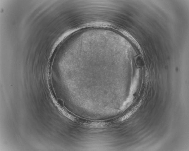 X0000085770989200704131759