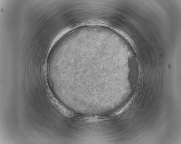 X0000085770990200704131759