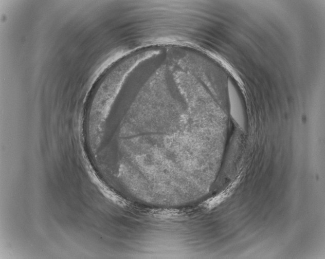 X0000085770991200704131759