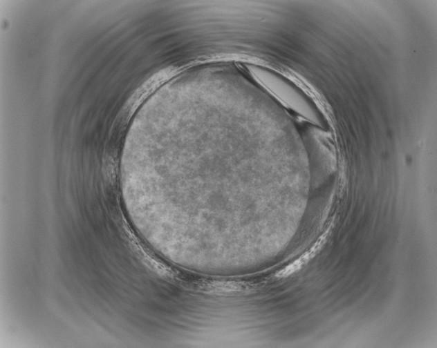 X0000085770993200704131759