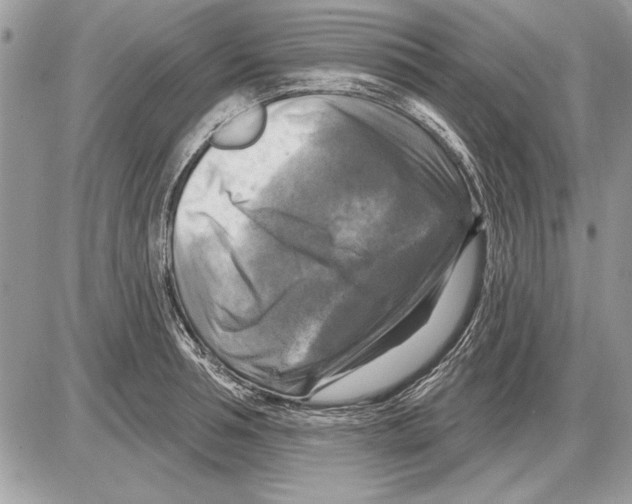 X0000085770994200704131759