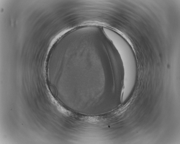 X0000085770995200704131759