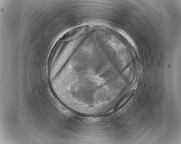 X0000085770996200704131759