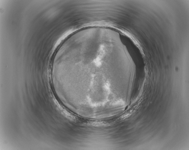 X0000085770998200704131759