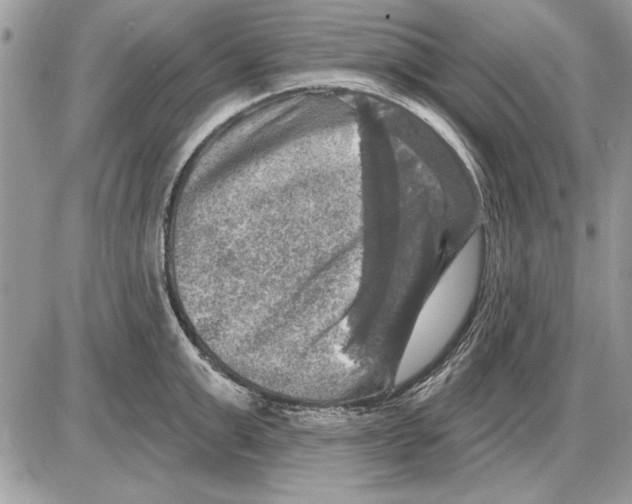 X0000085770999200704131759