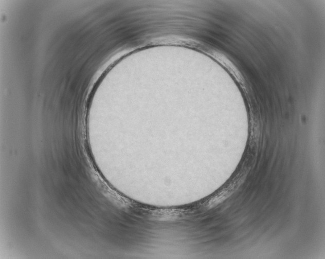 X0000085771000200704131759