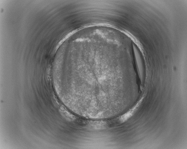 X0000085771001200704131759