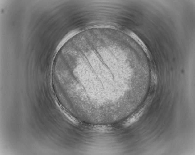 X0000085771002200704131759