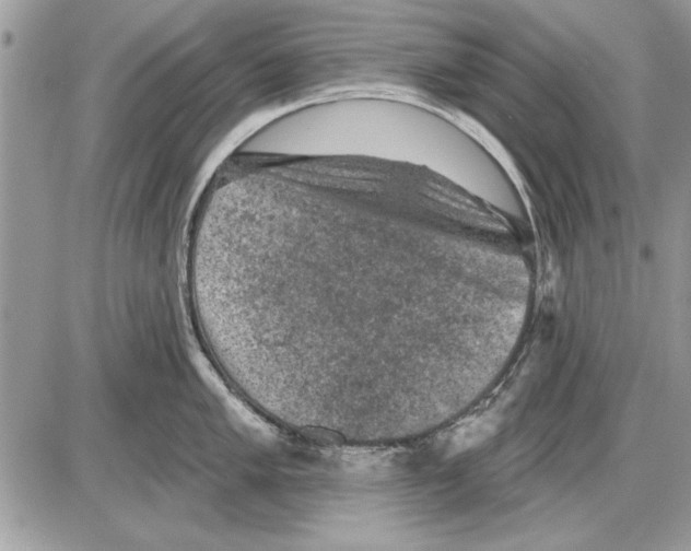 X0000085771005200704131758