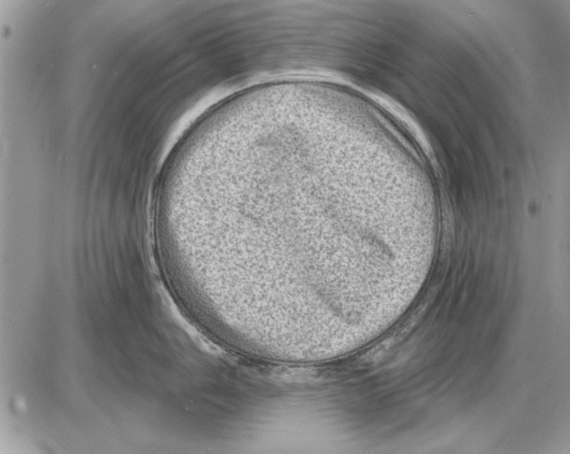 X0000085771006200704131758