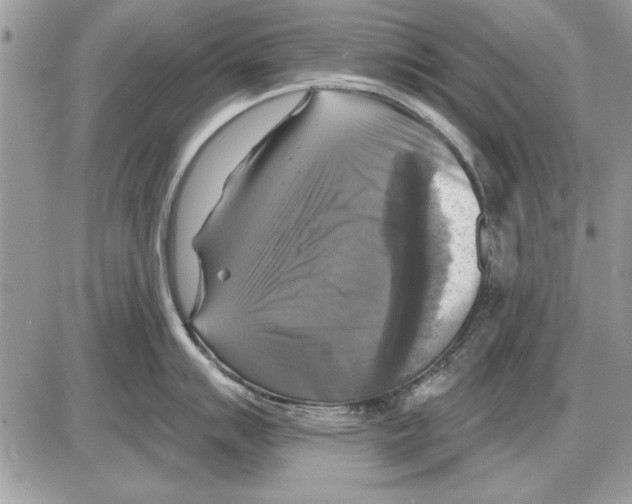 X0000085771007200704131758