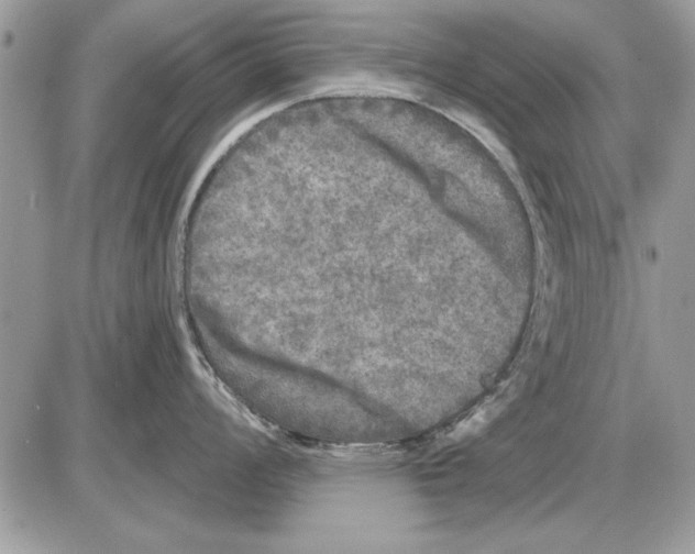 X0000085771008200704131758