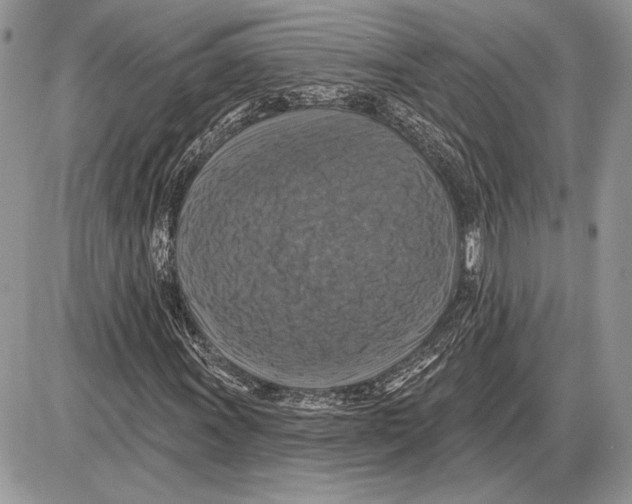 X0000085771011200704131758