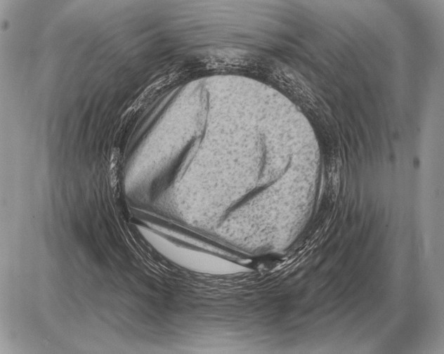 X0000085771012200704131758