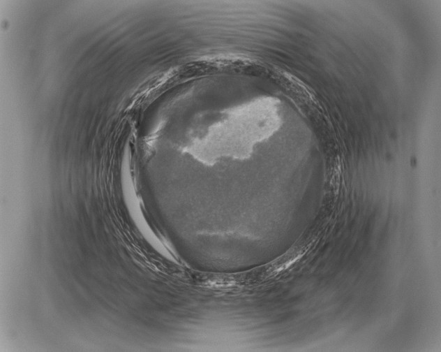 X0000085771014200704131758