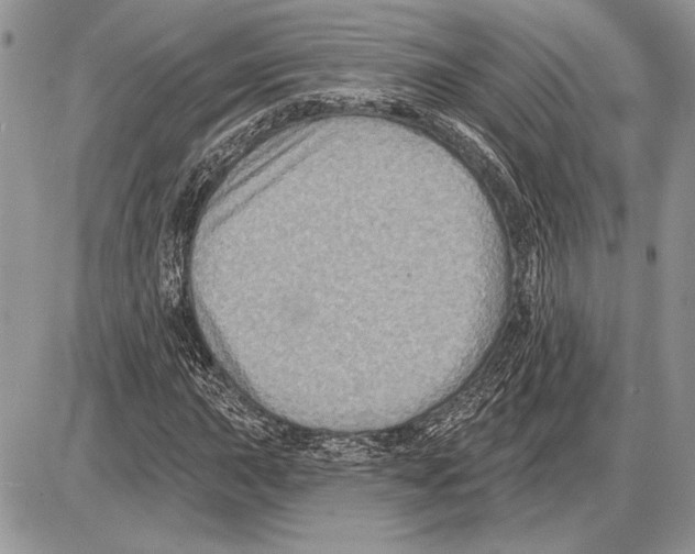 X0000085771015200704131758