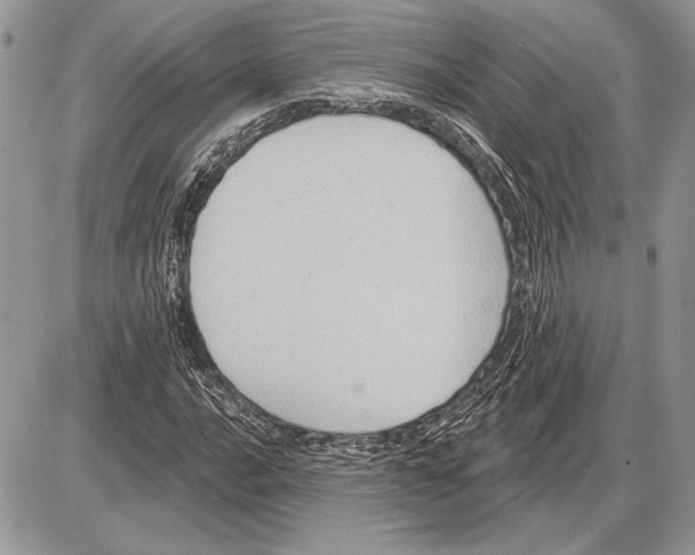 X0000085771016200704131758