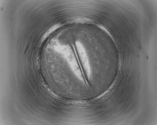 X0000085771018200704131758