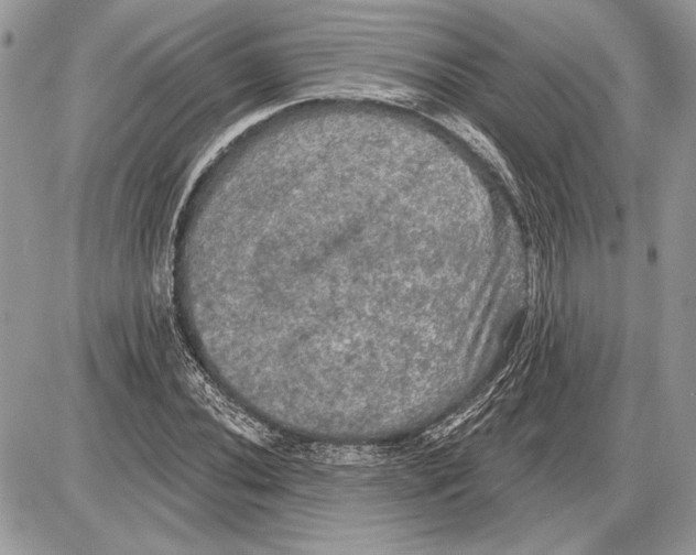 X0000085771020200704131758