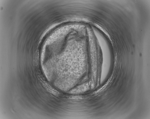 X0000085771021200704131758