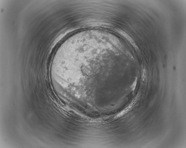 X0000085771023200704131758