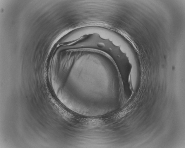 X0000085771024200704131758