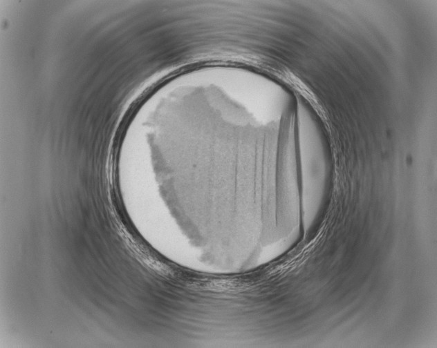 X0000085771028200704131758