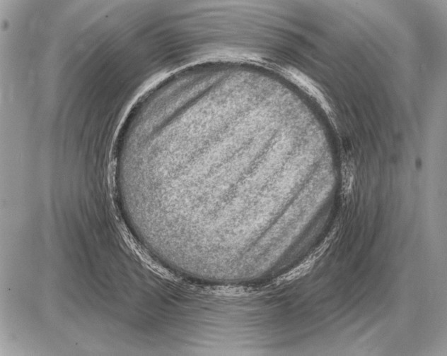 X0000085771029200704131758