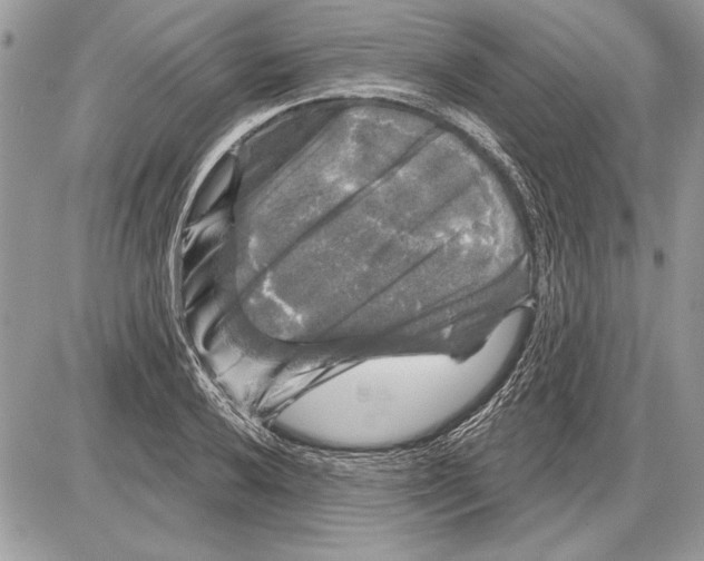 X0000085771032200704131758