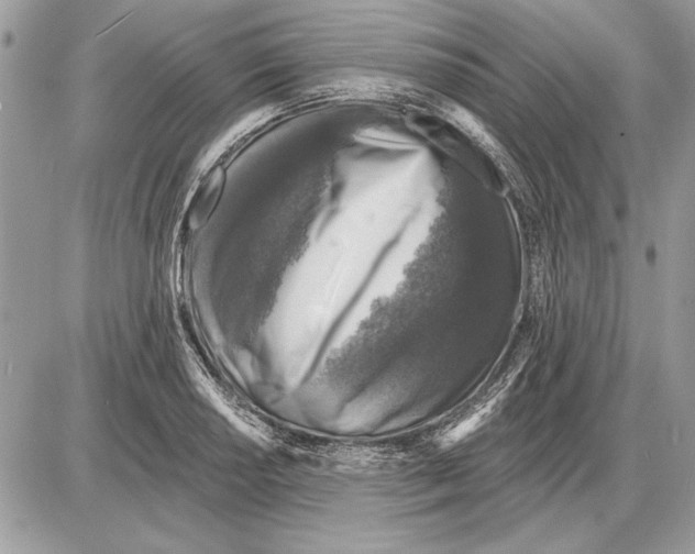 X0000085771034200704131758