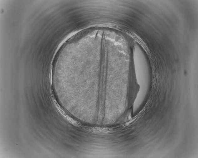 X0000085771036200704131758