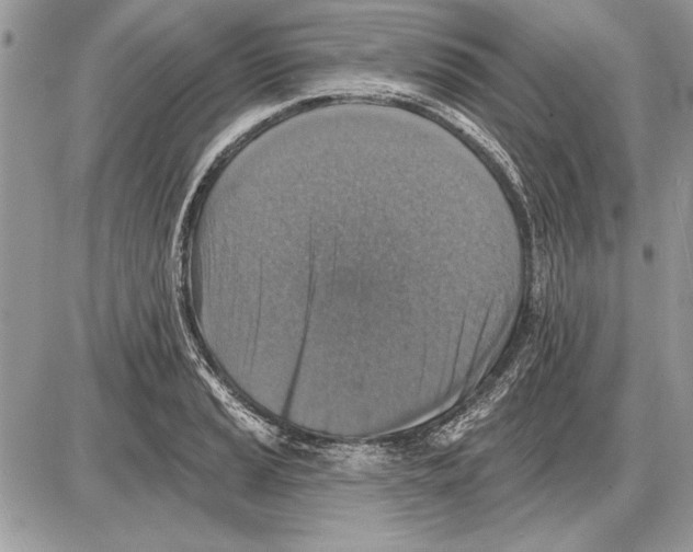 X0000085771037200704131758