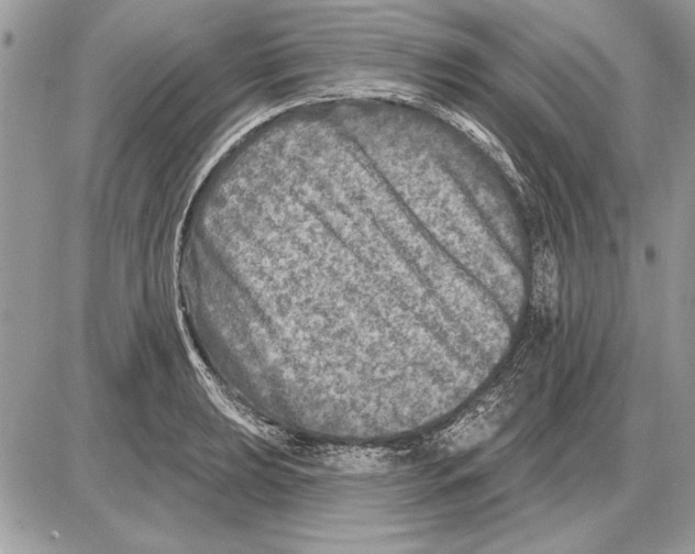 X0000085771039200704131758