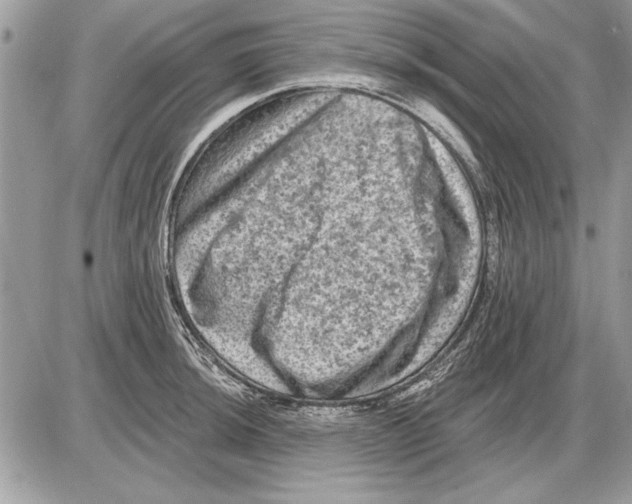 X0000085771044200704131758