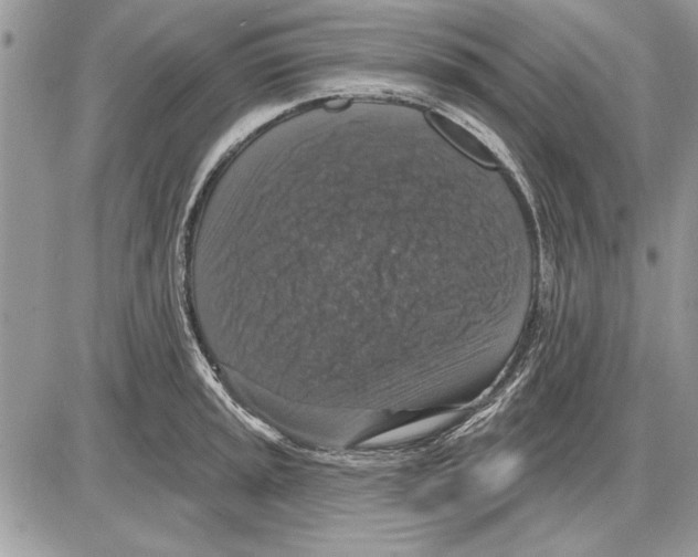 X0000085771045200704131758