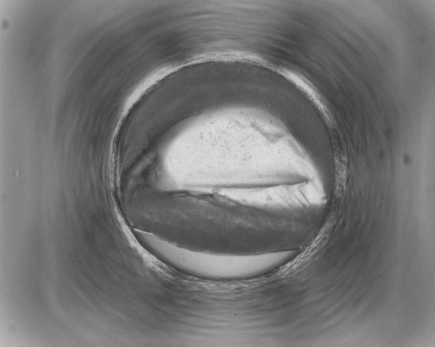 X0000085771046200704131758