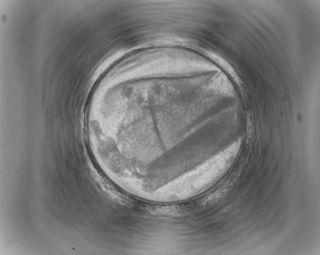 X0000085771047200704131758