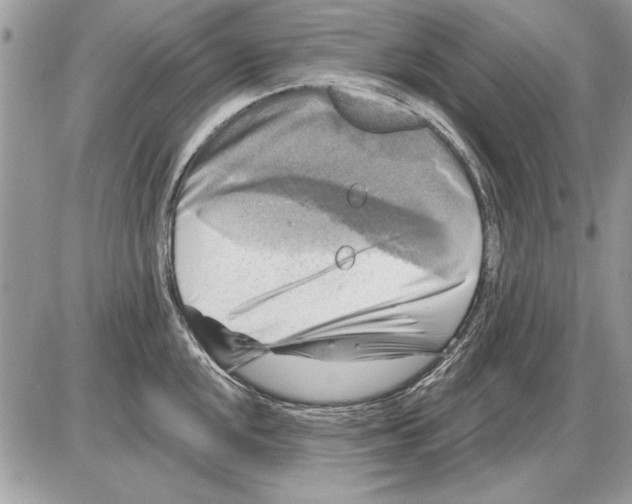 X0000085771048200704131758