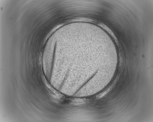 X0000085771049200704131758