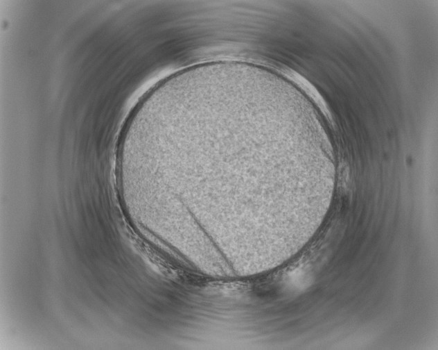 X0000085771051200704131758